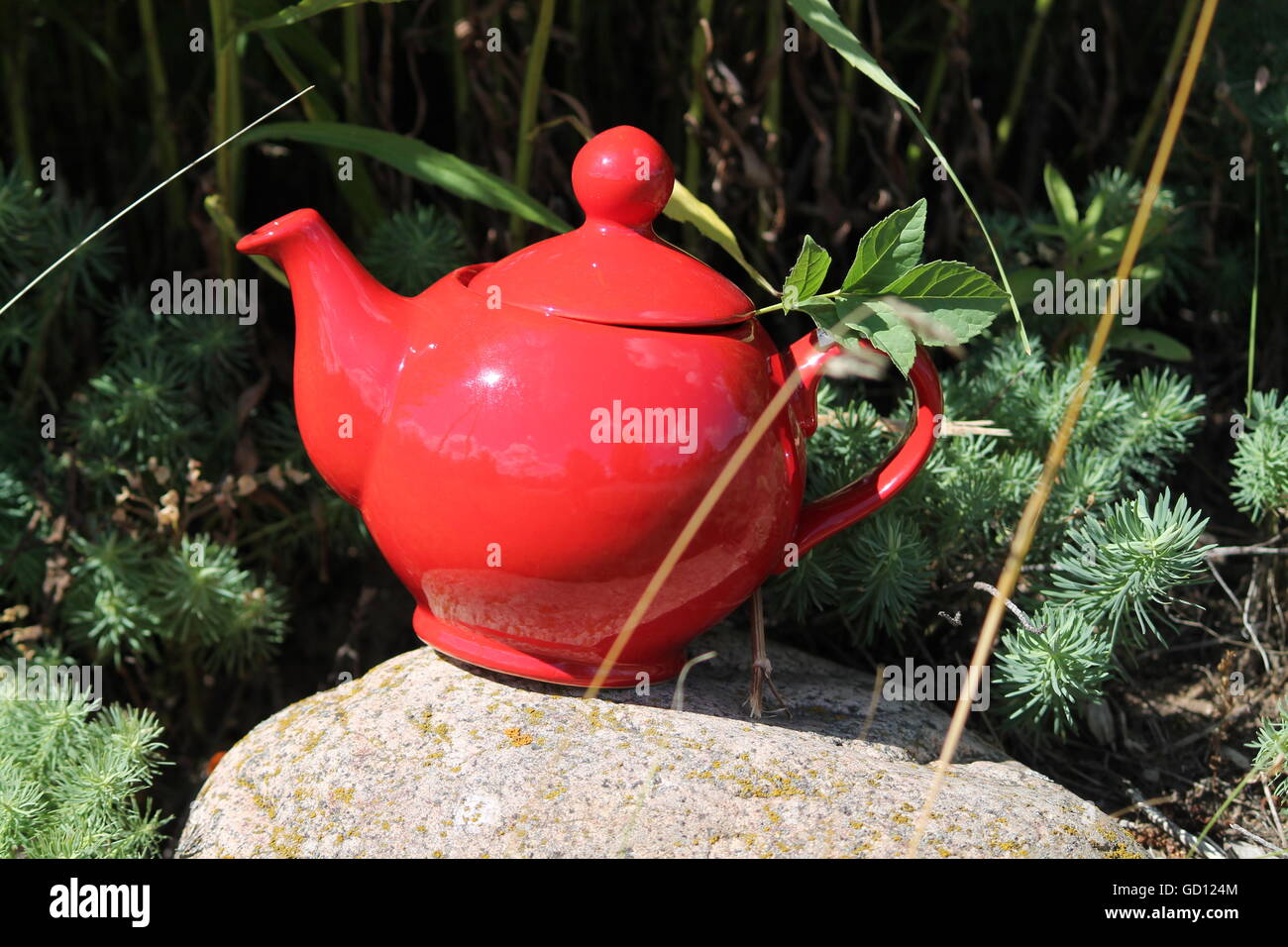 roter Ton Teekanne Aufenthalt im grünen Garten Busch auf massivem Stein Symbol balance nad Harmonie in der Natur Stockfoto