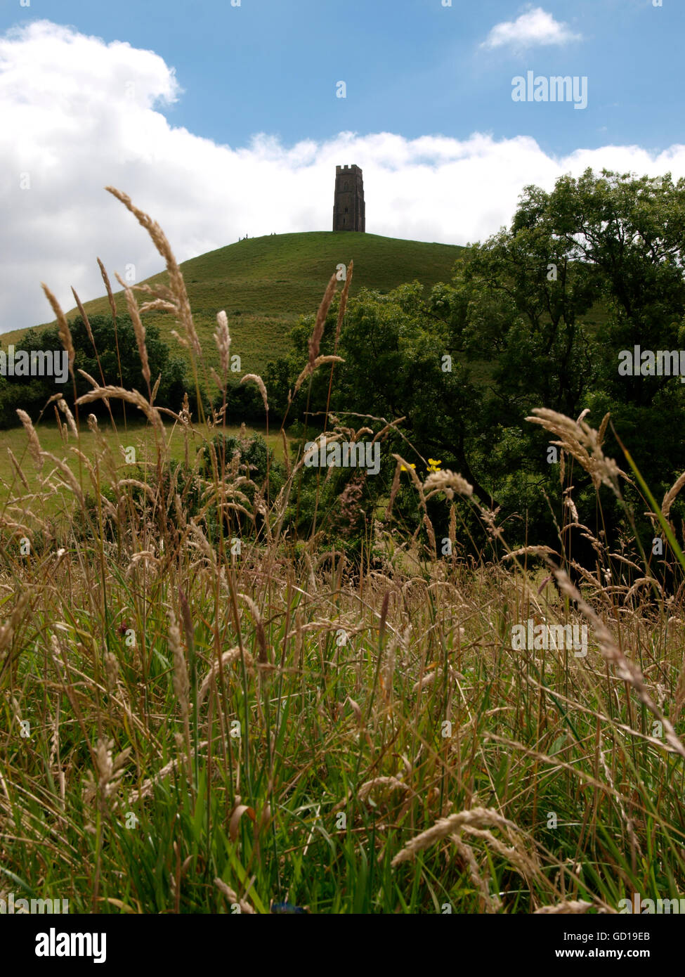 Glastonbury Tor, Somerset, Großbritannien Stockfoto