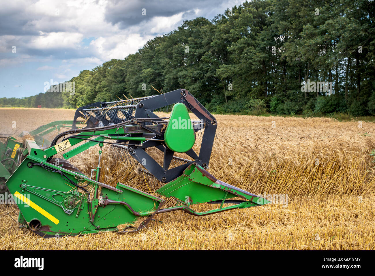 Mähdrescher auf dem Weizenfeld bei der Ernte Stockfoto