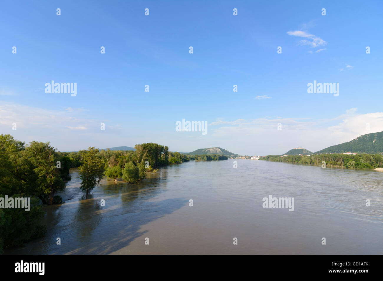 Hainburg an der Donau: Donau in den Donau-Auen-Nationalpark bei Flut, auf der Suche nach Hainburg ein der Donau, Österreich, Niederösterreich, Lo Stockfoto