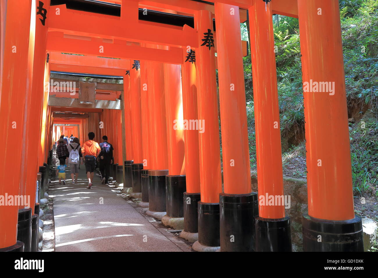 Menschen besuchen Fushimi-Inari-Schrein in Kyoto Japan. Stockfoto