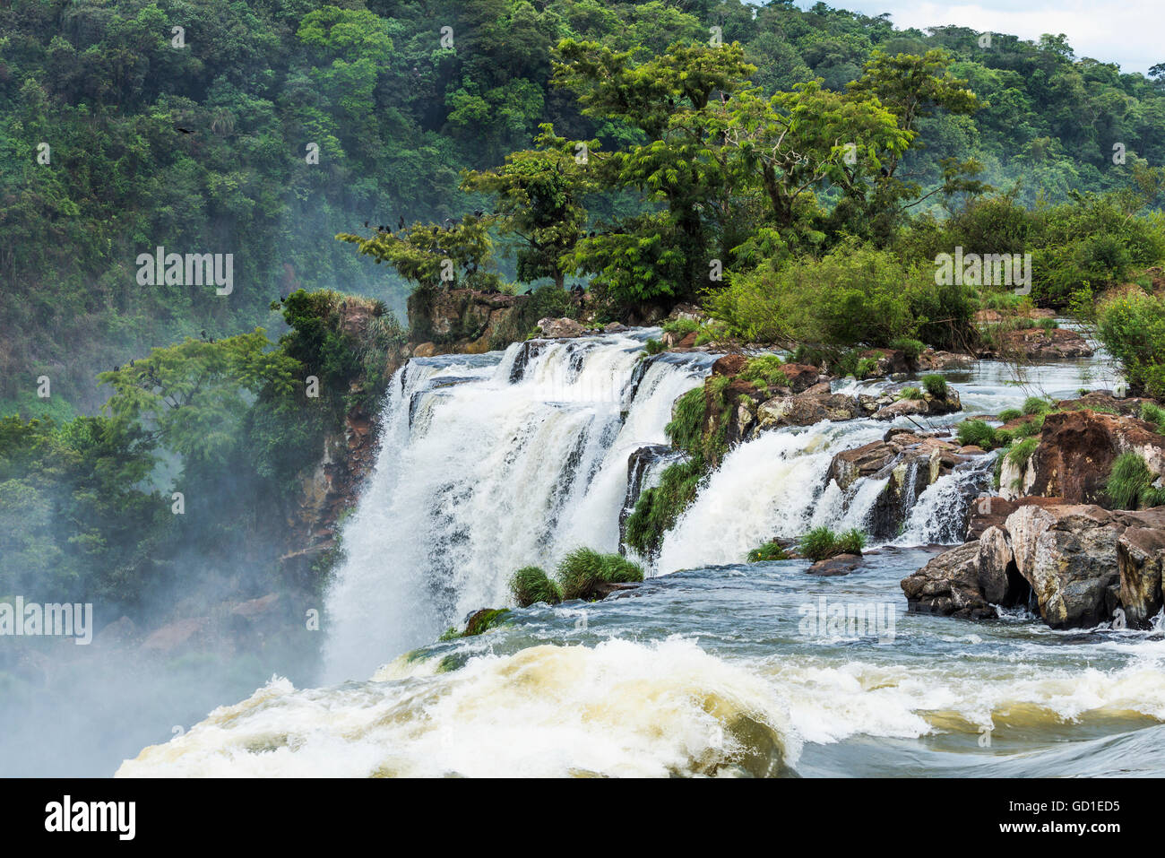 Bäume und Felsen neben Iguazu Wasserfälle; Parana, Brasilien Stockfoto