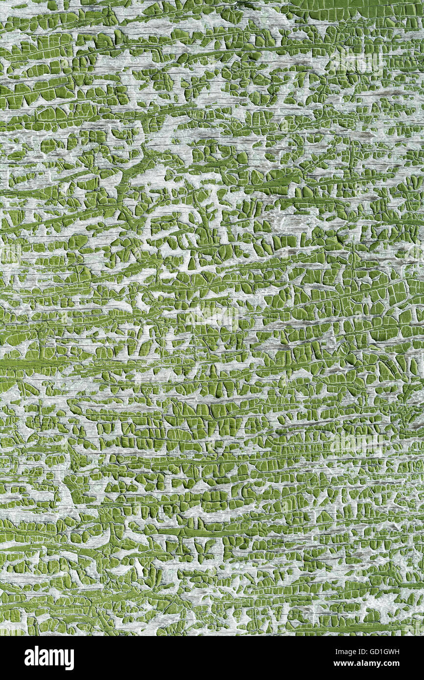 Gebrochene Farbe. Militär, Khaki Stil. Grüne Jahrgang Holzoberfläche gemalt. Stockfoto