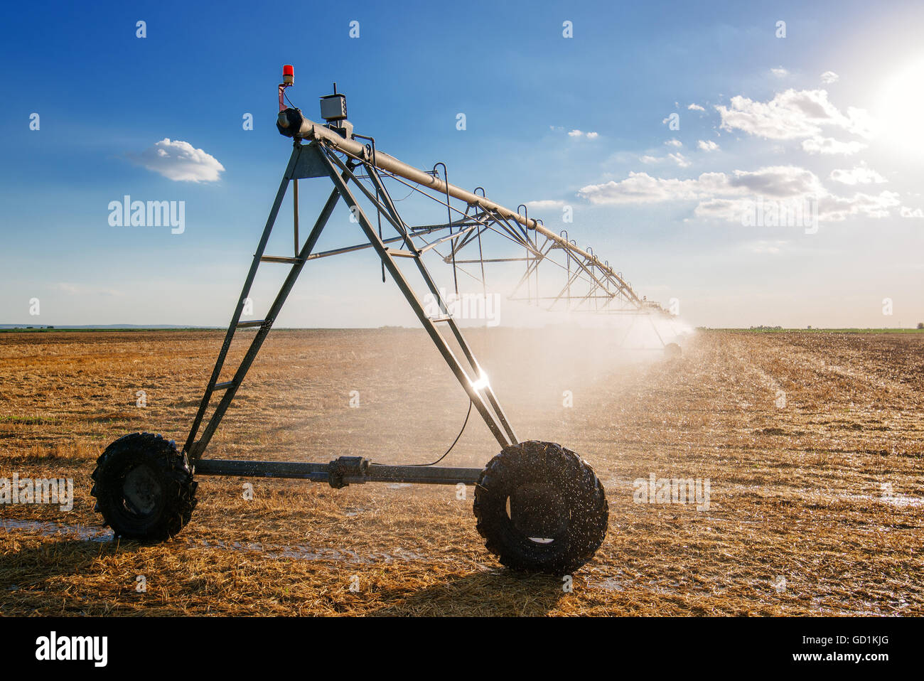 Bewässerung in der Landwirtschaft auf abgeernteten Weizenfeld Stoppeln in späten Sommernachmittag Stockfoto