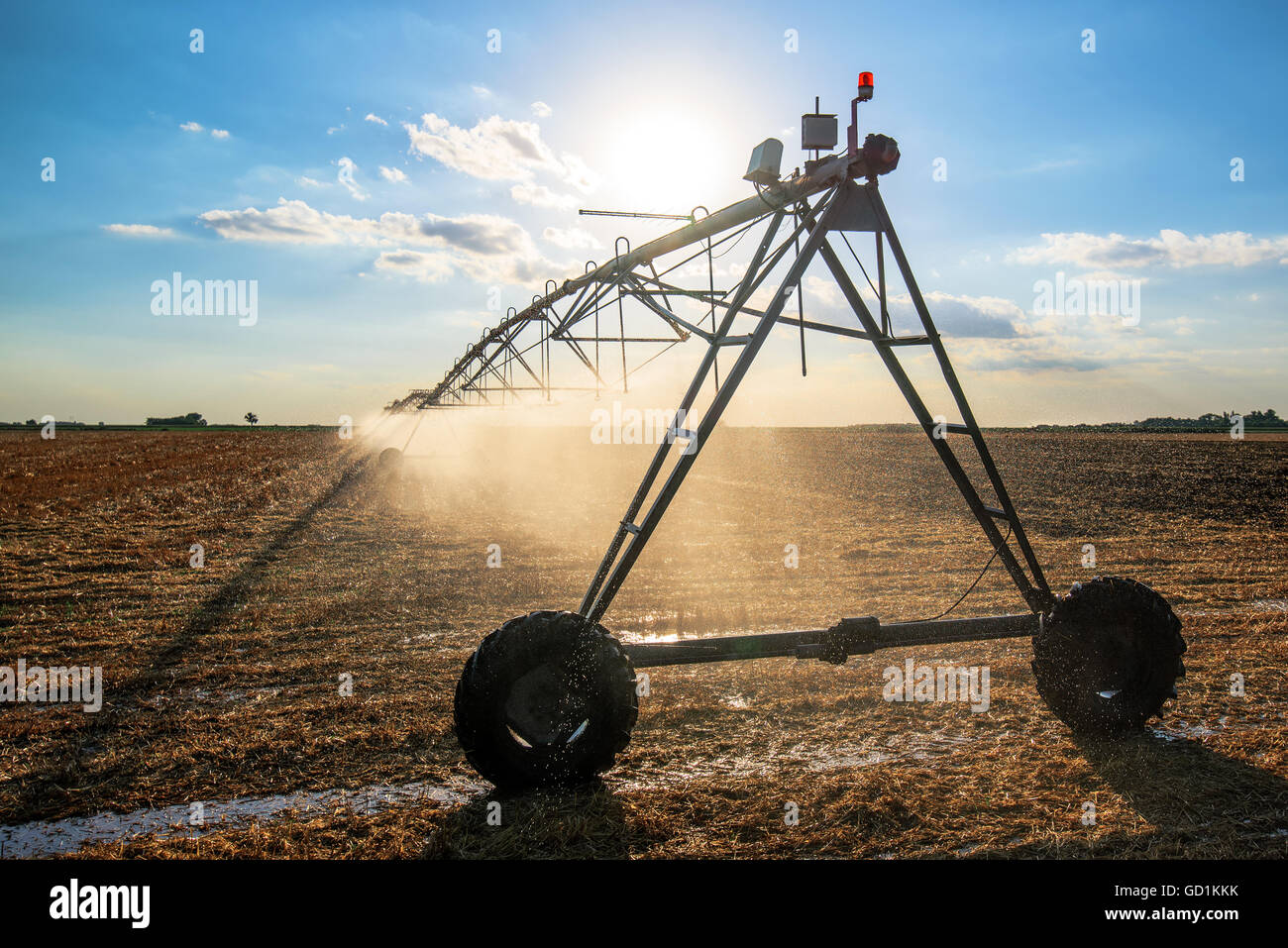 Bewässerung in der Landwirtschaft auf abgeernteten Weizenfeld Stoppeln in späten Sommernachmittag Stockfoto