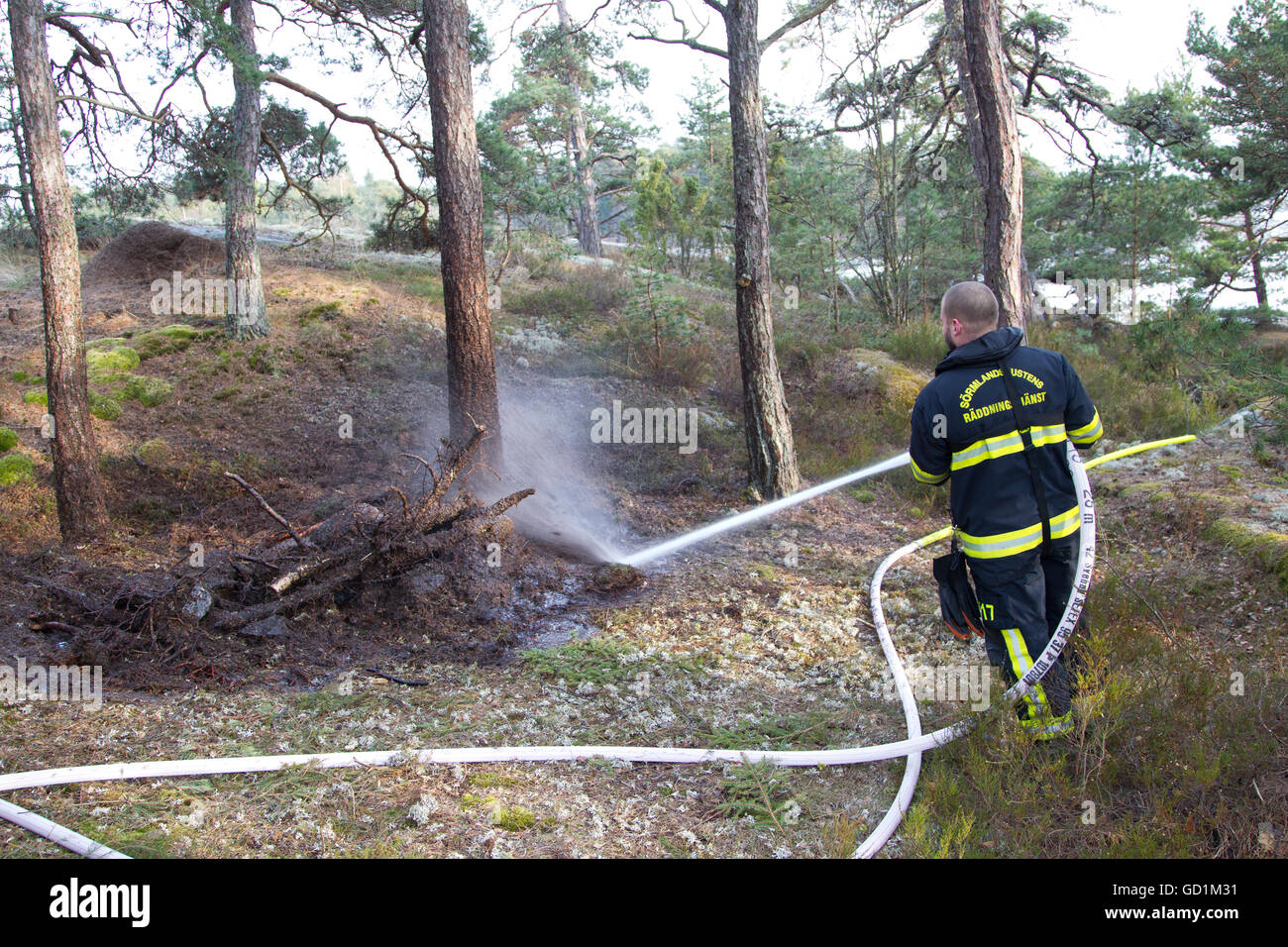 Ein Feuerwehrmann löscht einen Waldbrand Stockfoto