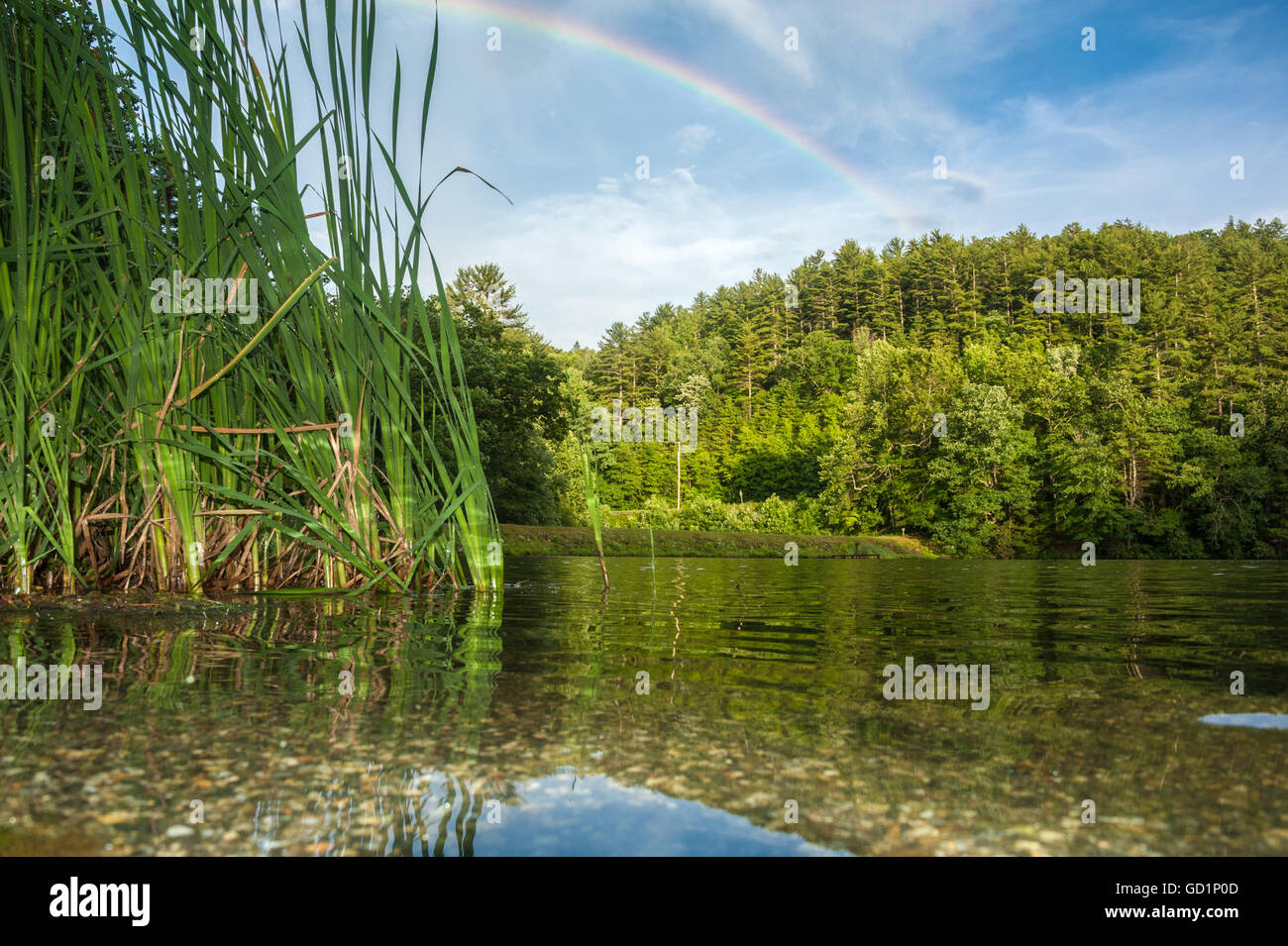 Schöner Regenbogen über See Trahlyta im Vogel State Park in den Blue Ridge Mountains von North Georgia, USA. Stockfoto