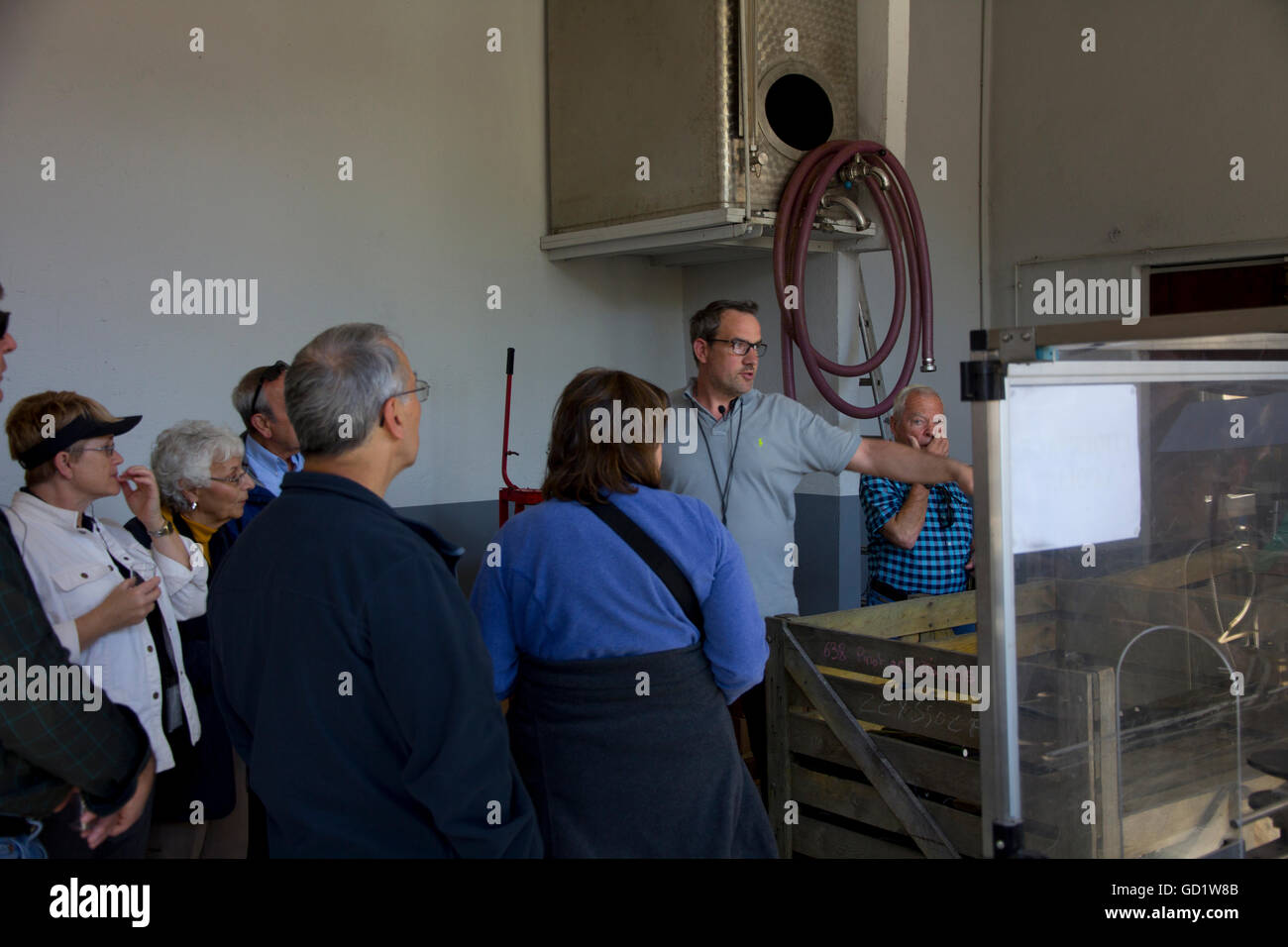 Yvon Zessolff führt eine Tour durch die Produktionsfläche von seinem Familienweingut, ein mehr-Generationen-Unternehmen seit 1778. Stockfoto