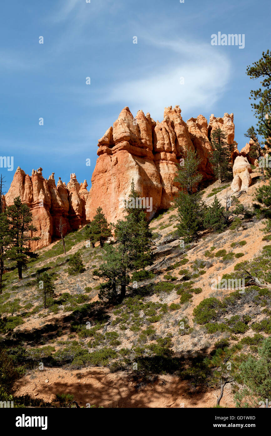 Hoodoos im Bryce-Canyon-Nationalpark; Utah, Vereinigte Staaten von Amerika Stockfoto