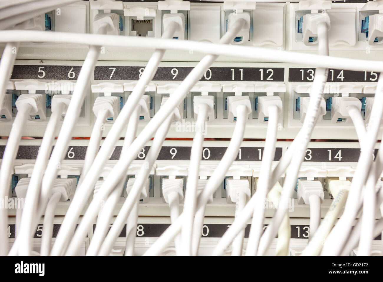 in einer großen Internetverbindung gibt es viele Computer-Kabel Stecker gebaut Stockfoto