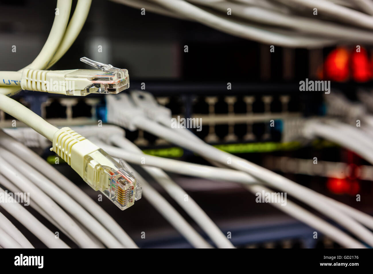 in einer großen Internetverbindung gibt es viele Computer-Kabel Stecker gebaut Stockfoto