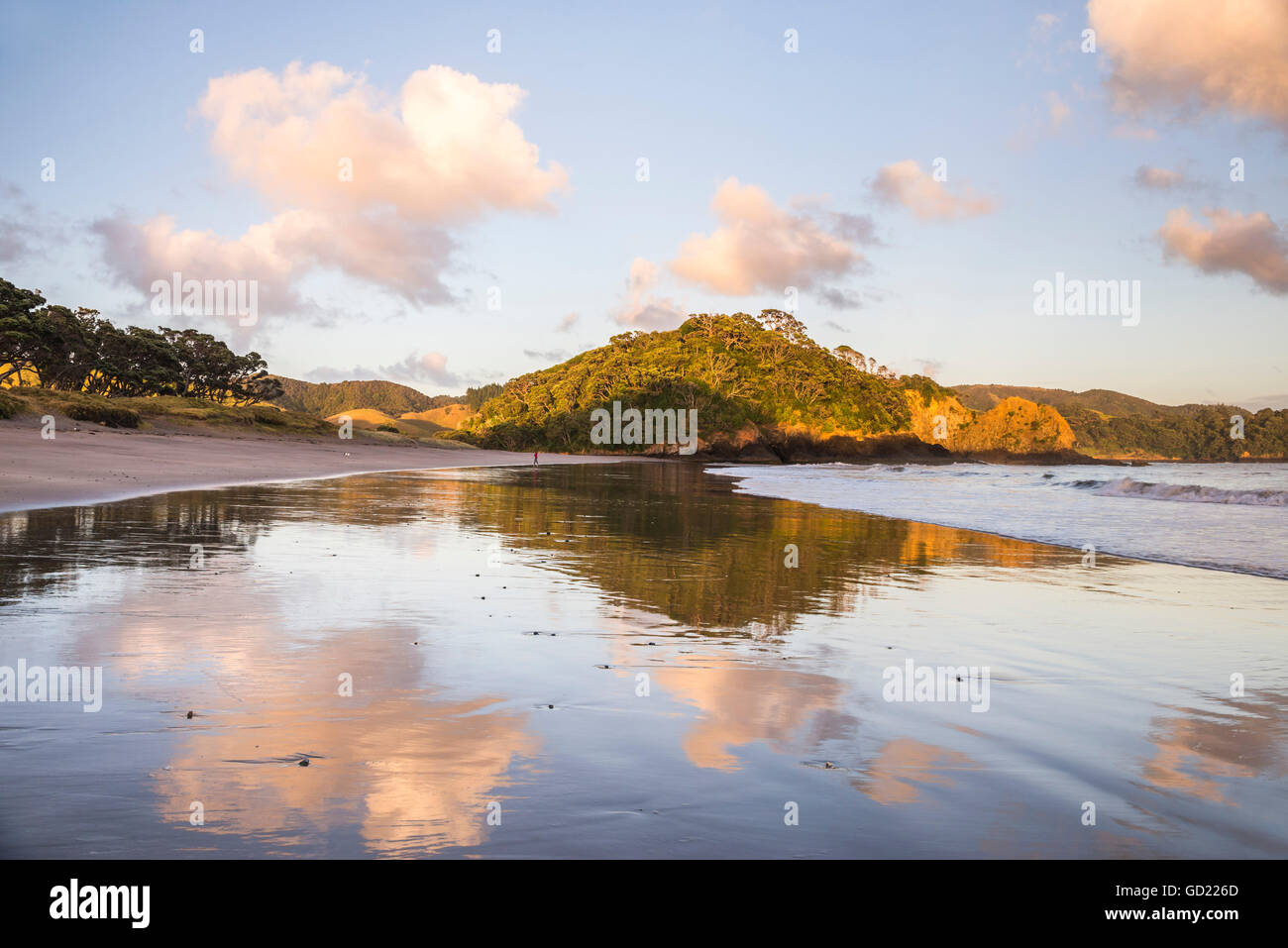 Otamure Bay bei Sonnenaufgang, Whananaki, Region Northland, North Island, Neuseeland, Pazifik Stockfoto