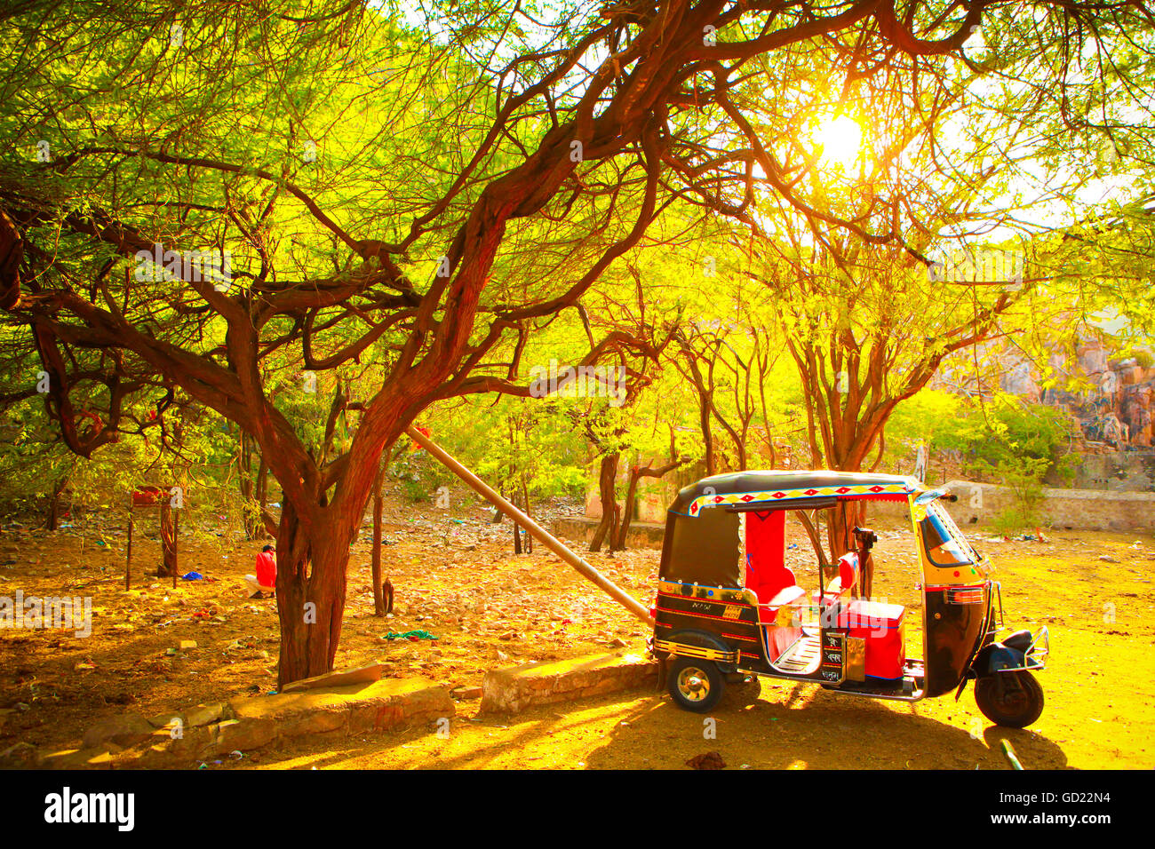 Tuk Tuk geparkt in Jaipur, Rajasthan, Indien, Asien Stockfoto