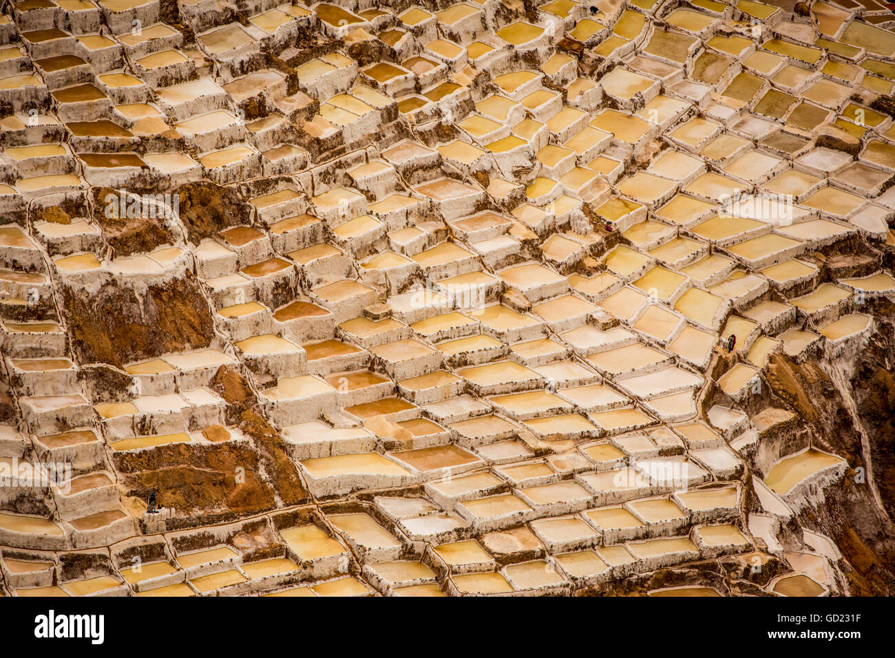 Salineras de Maras, Maras Salinen, Heiliges Tal, Peru, Südamerika Stockfoto