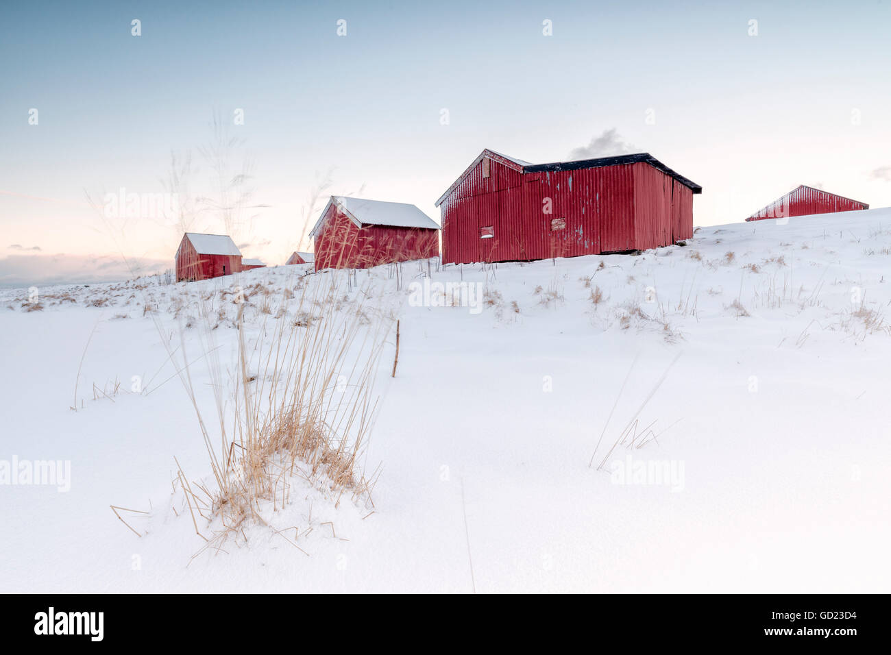 Frischer Schnee umgibt die typischen Fischerhäuser Rorbu genannt, im Winter, Eggum, Vestvagoy Island, Lofoten Inseln, Norwegen Stockfoto