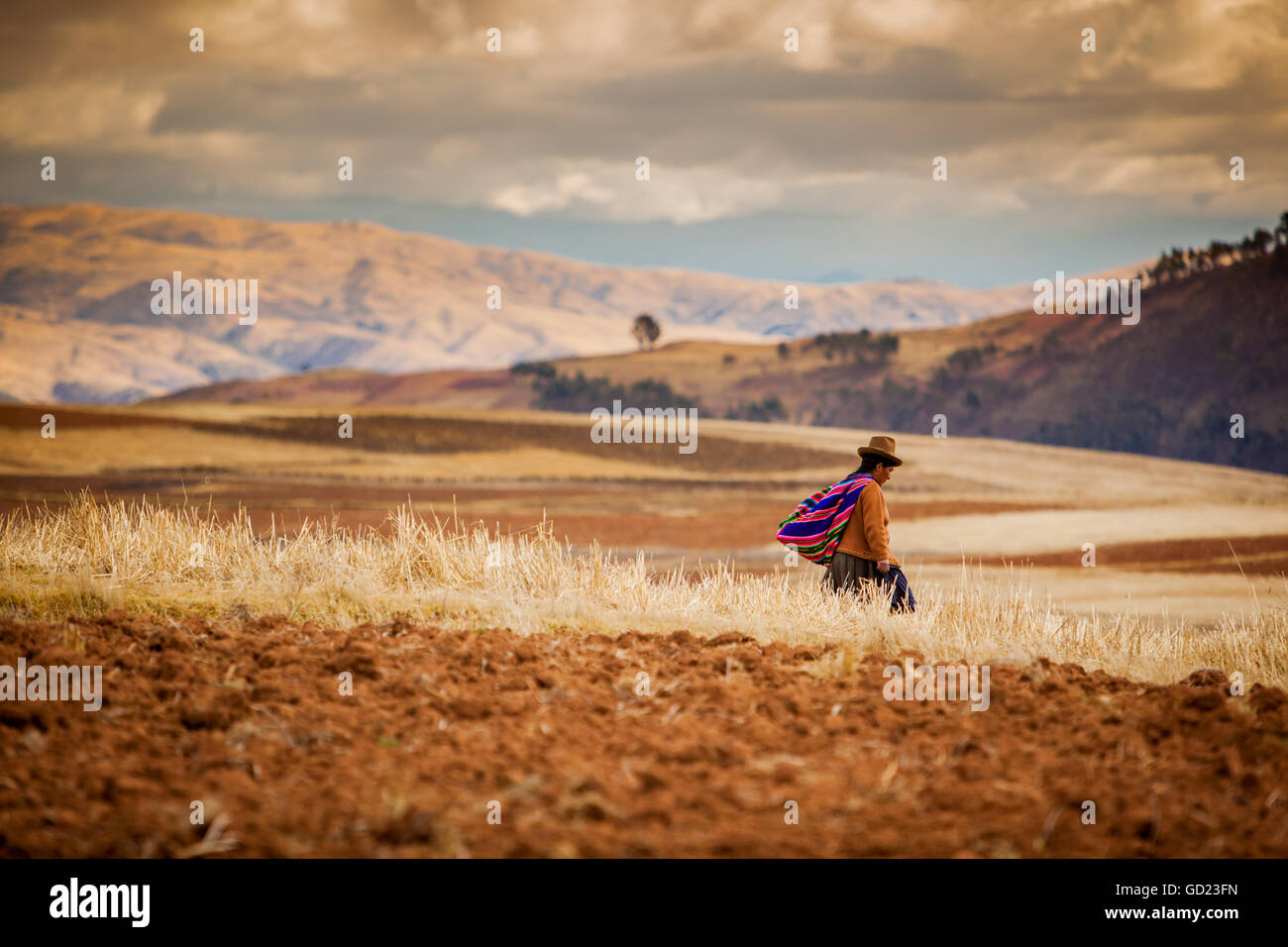 Landwirt zu Fuß nach Hause, bei Sonnenuntergang, Heiliges Tal, Peru, Südamerika Stockfoto