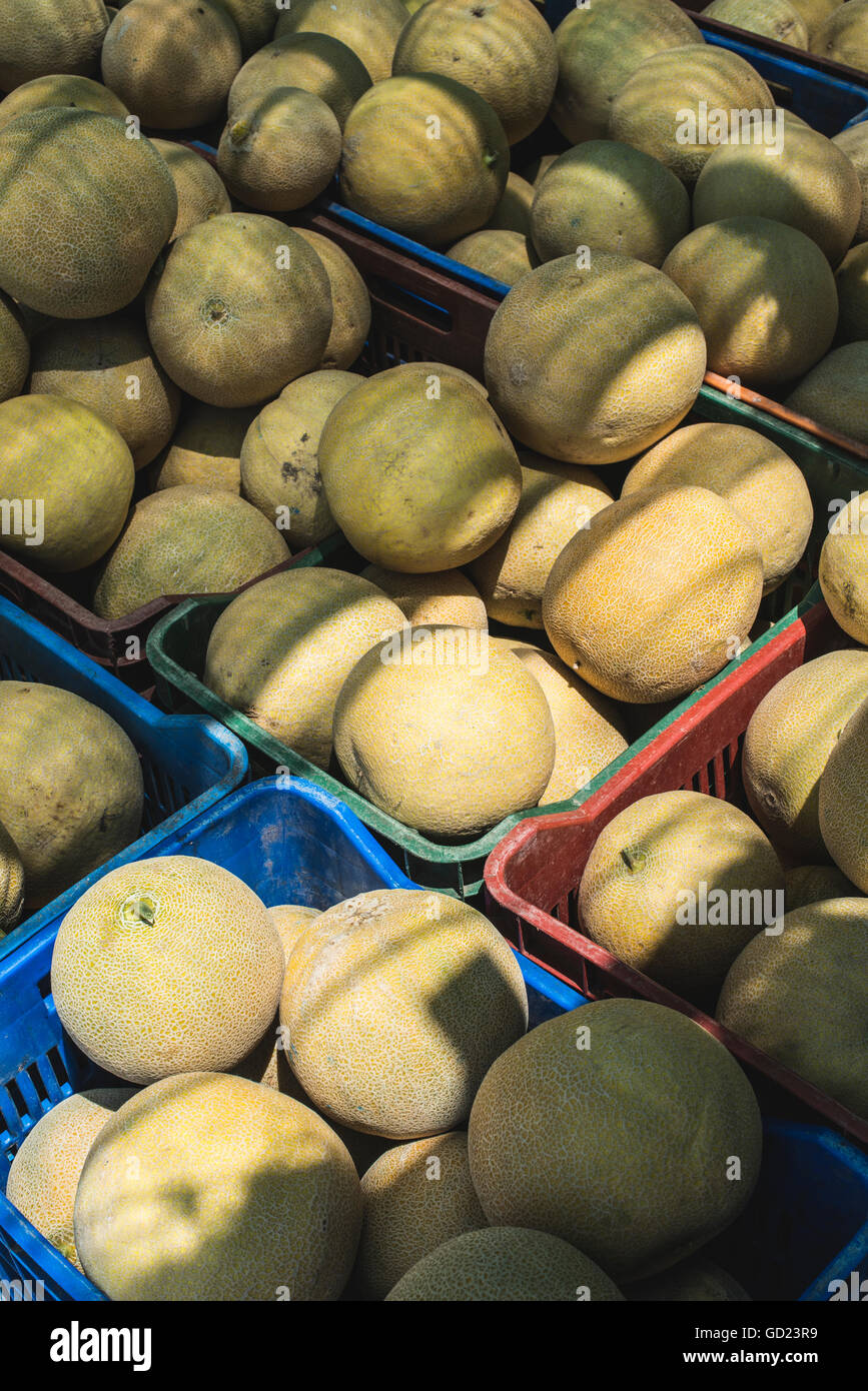 Melonen auf dem Markt. Stockfoto