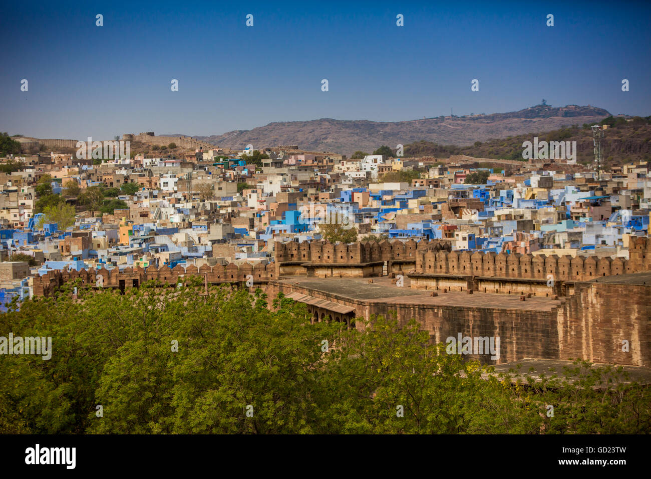 Die Stadtmauer von Mehrangarh Fort überragt die blauen Dächer in Jodhpur, die blaue Stadt, Rajasthan, Indien, Asien Stockfoto