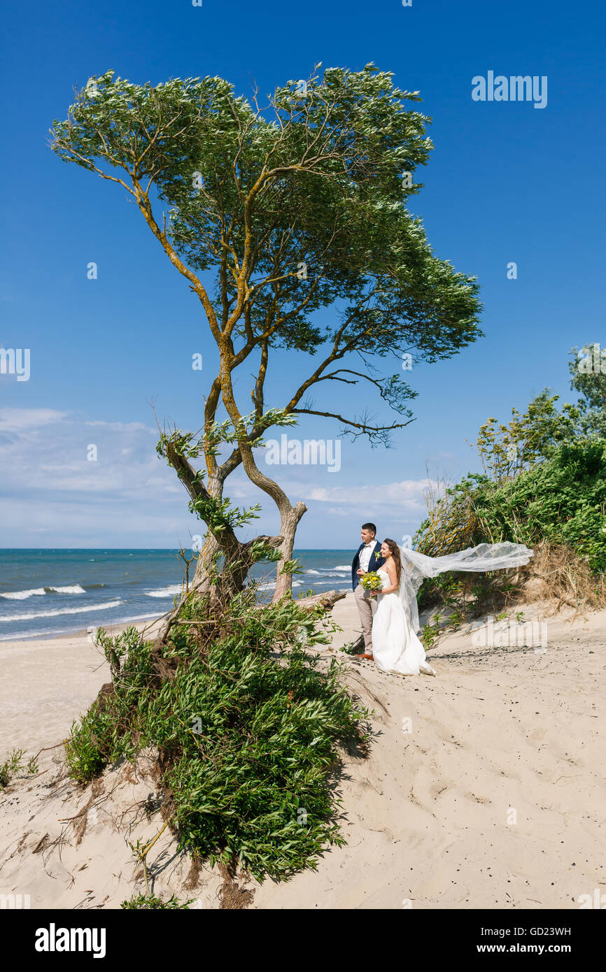 Fröhliche Brautpaar stehend in der Nähe des Baumes am Strand Stockfoto