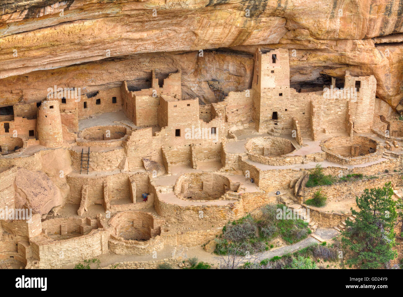 Anasazi-Ruinen, Cliff Palace, aus der Zeit zwischen 600 und 1300 AD14, Mesa Verde National Park, UNESCO, Colorado, USA Stockfoto