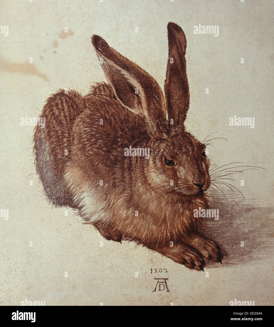 Bildende Kunst, Dürer, Albrecht (1471-1528), der Malerei, der Feldhase (junge Hasen), Aquarell, 25 x 22,5 cm, m 1502, Albertina, Wien Artist's Urheberrecht nicht geklärt zu werden. Stockfoto