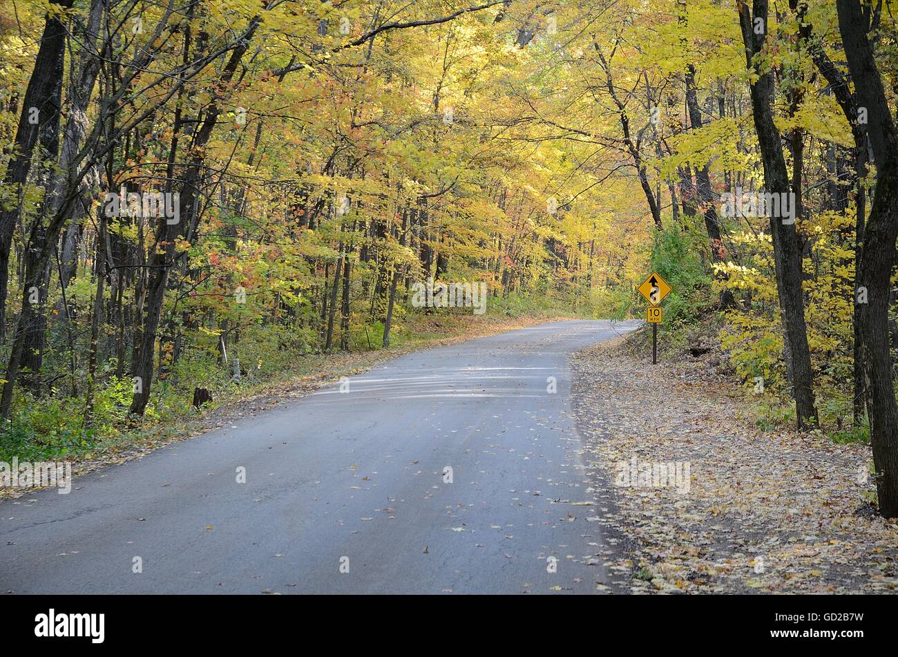Herbst Farben entlang ein Feldweg in Devils Lake State Park in der Nähe von Baraboo, Wisconsin Stockfoto