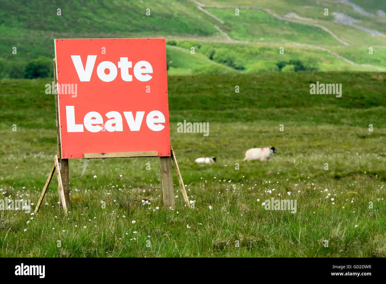 Lassen Sie Zeichen in der Landschaft der Yorkshire Dales, im Zusammenhang mit dem EU-Referendum abstimmen. Stockfoto