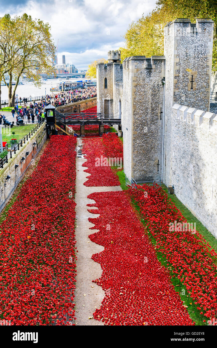 Blut fegte Länder und Meere der Rotanteil in den Tower of London. London. Großbritannien, Europa. Stockfoto