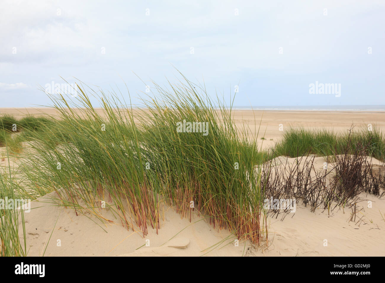 Blick auf den Sandstrand auf der deutschen Insel Borkum Stockfoto
