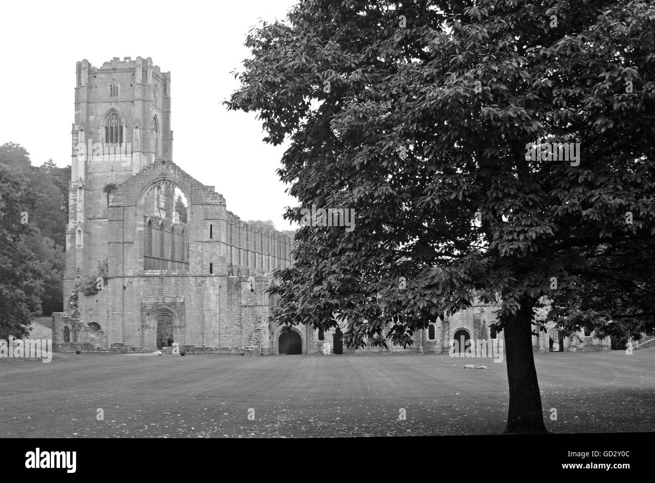 Fountains Abbey Stockfoto