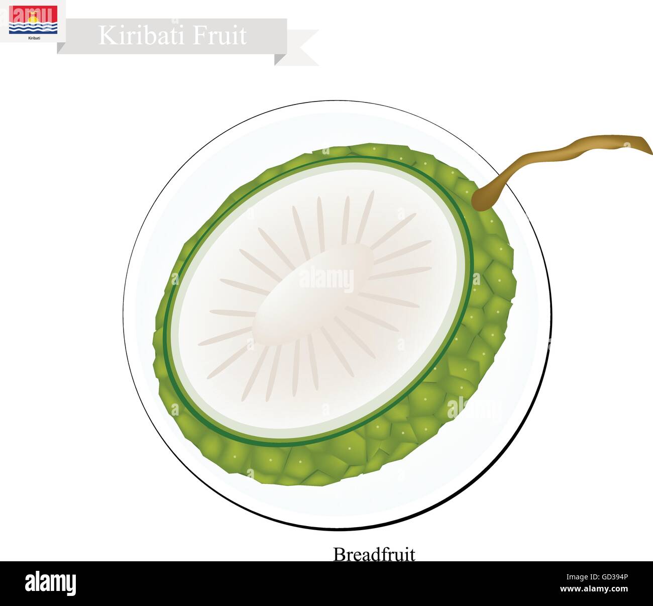 Kiribati Frucht, Illustration von reif und süß Brotfrucht. Eine der beliebtesten Früchte von Kiribati. Stock Vektor