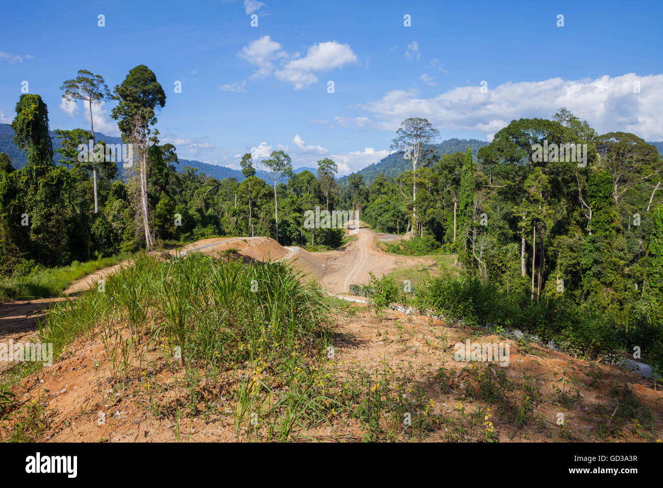 Eine Straße durch primären Regenwald Dschungel gebaut wird, Maliau Basin Forest Reserve Borneo, den Zugriff für den Tourismus zu öffnen. Stockfoto