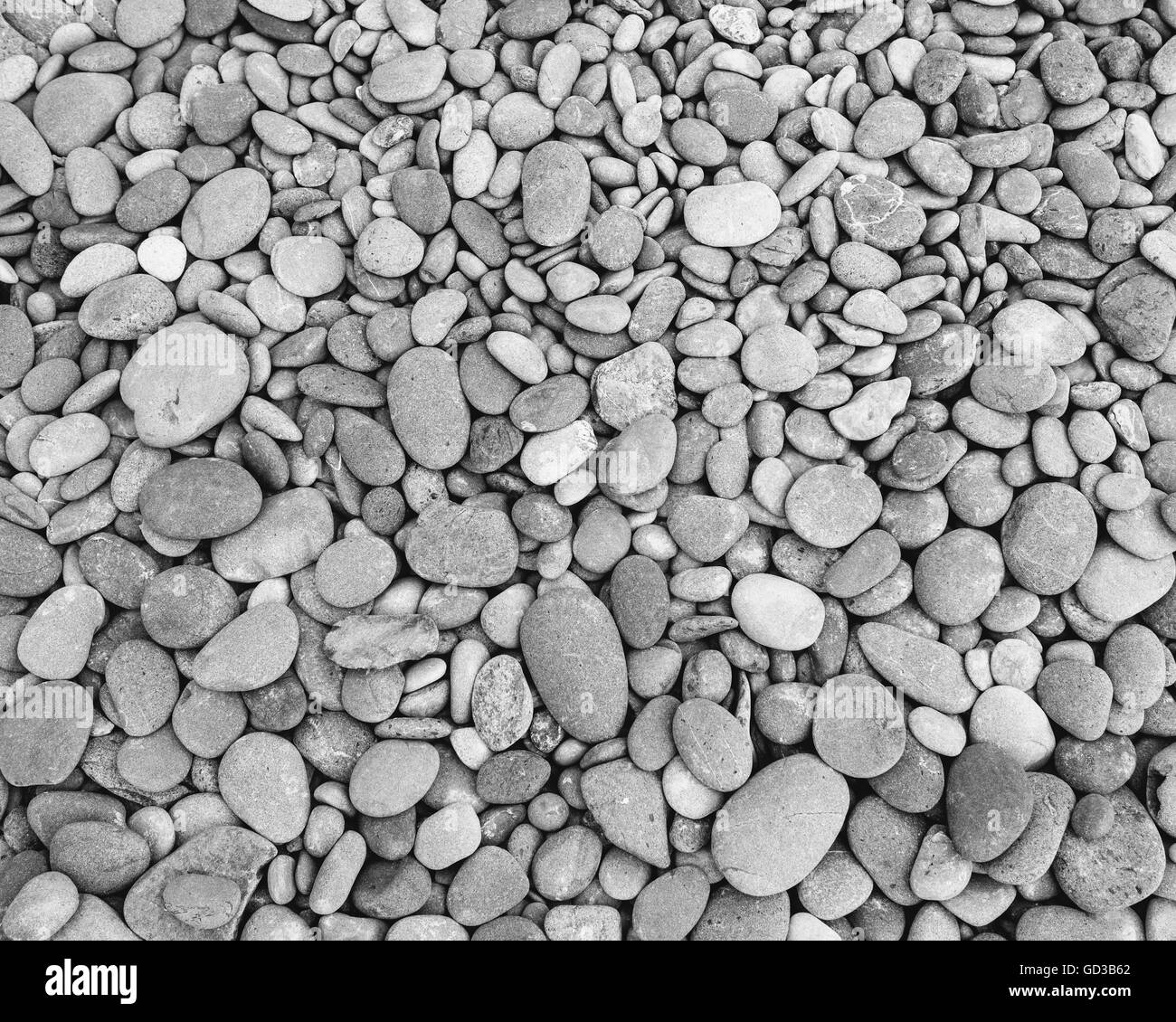 Detail der glatten Strand Felsen und Kieselsteine am Strand, Ruby, Olympic NP, WA, USA Stockfoto