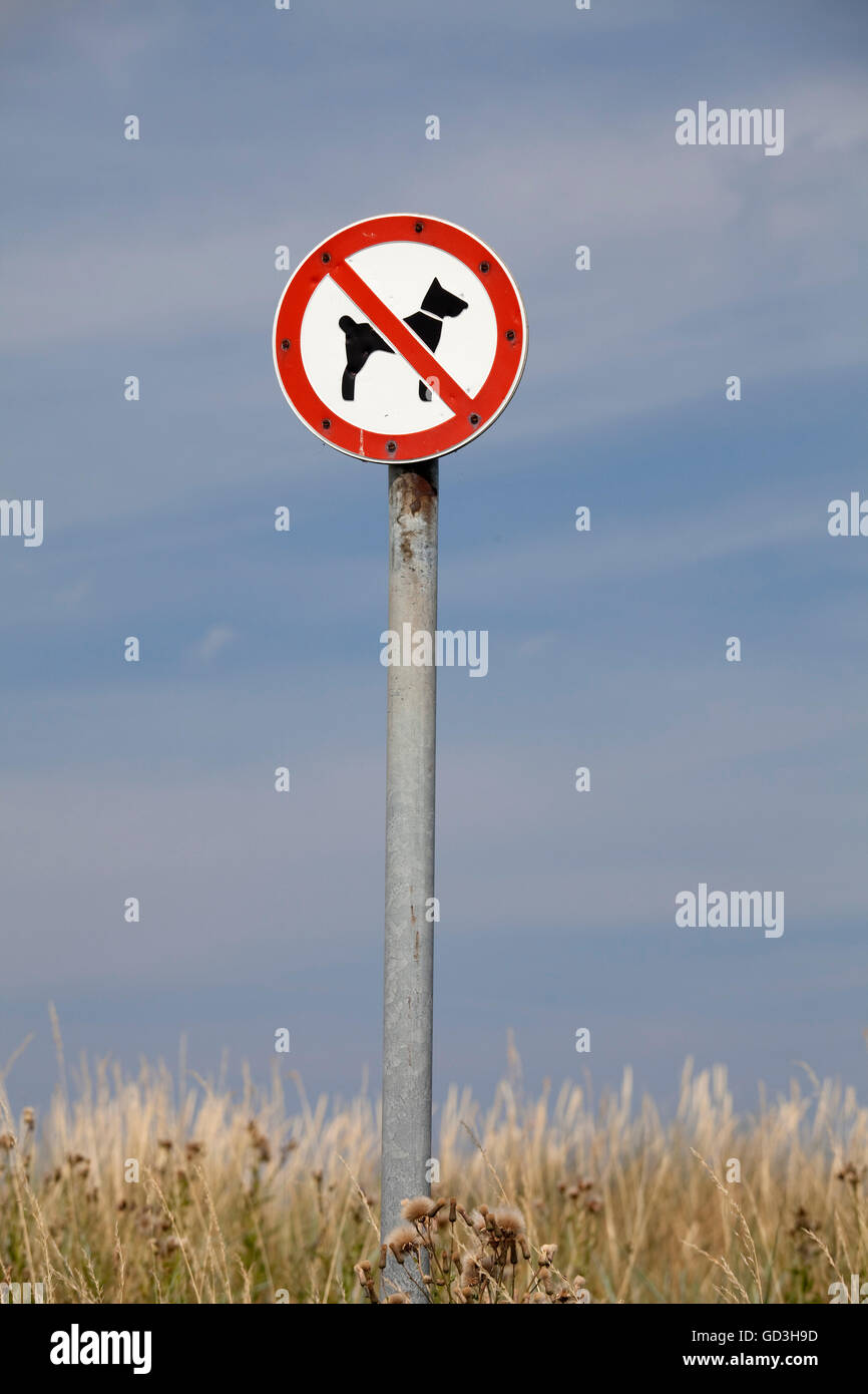 Hunde verboten Schild, Hohwachter Bucht Bucht, Ostseeküste, Schleswig-Holstein Stockfoto