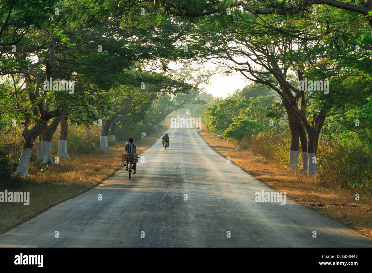 Nationalstraße Straße, Chhattisgarh, Indien, Asien Stockfoto