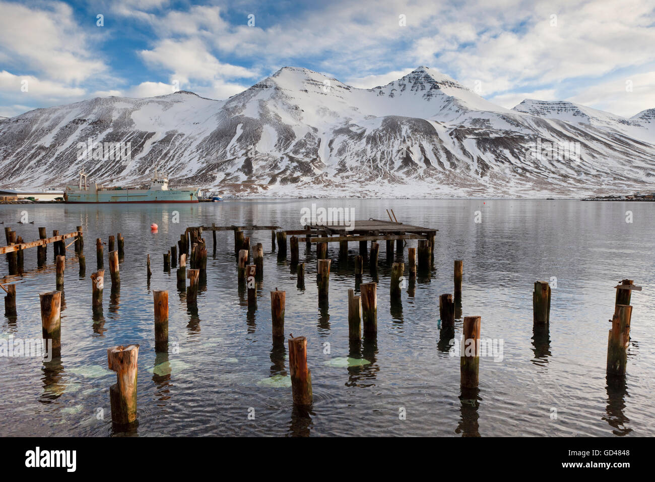 Hölzerne Pfähle im Siglufjordur Hafen, Nordisland Stockfoto