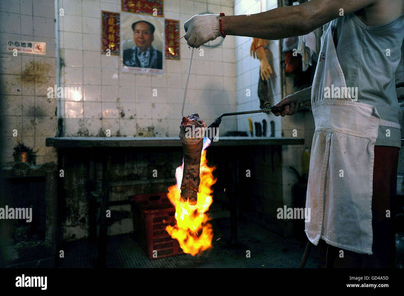 CHINA, Hong Kong, 11. Oktober 2014. Ein Metzger verwendet eine Fackel, um die Borsten ein Schwein Traber in einer Metzgerei zu entfernen. Stockfoto