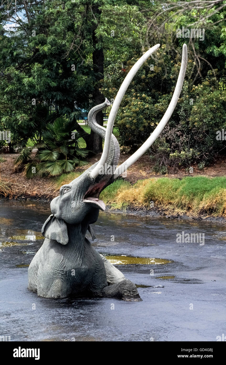 Eine lebensgroße Fiberglas-Modell einer ausgestorbenen Mammuts aus dem Pleistozän zeigt einen Pool von Asphalt, die von der Erde vor dem La Brea Tar Pits Museum in Los Angeles, Kalifornien, USA sickert zu versinken. Über 1 Million Fossilien aus dieser Eiszeit Säugetiere und 650 sind andere Arten im Hancock Park seit den frühen 1900er Jahren ausgegraben worden. Viele von ihnen ging öffentlich zur Schau, als Museum im Jahre 1977 eröffnet. Heutige Besucher sehen Paläontologen im Museum neue fossile Funde für Ausstellung vorzubereiten. Stockfoto