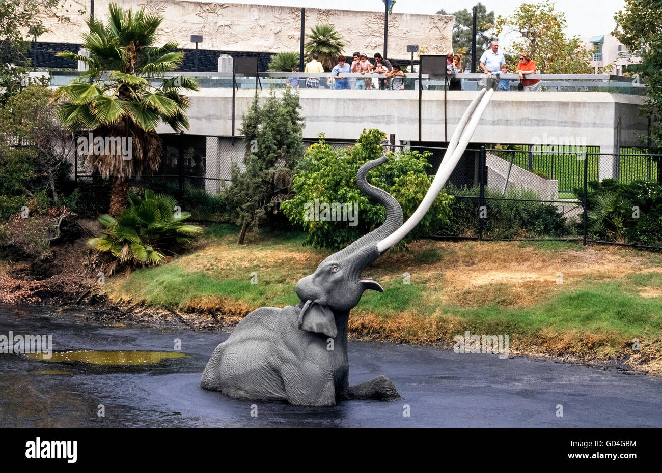 Eine lebensgroße Fiberglas-Modell einer ausgestorbenen Mammuts aus dem Pleistozän zeigt einen Pool von Asphalt, die von der Erde vor einer Aussichtsplattform auf der La Brea Tar Pits Museum in Los Angeles, Kalifornien, USA sickert zu versinken. Über 1 Million Fossilien aus dieser Eiszeit Säugetiere und 650 sind andere Arten im Hancock Park seit den frühen 1900er Jahren ausgegraben worden. Viele von ihnen ging öffentlich zur Schau, als Museum im Jahre 1977 eröffnet. Heutige Besucher sehen Paläontologen im Museum neue fossile Funde für Ausstellung vorzubereiten. Stockfoto