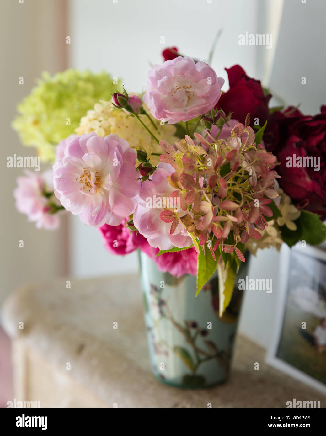 Verschiedene schöne Rosen Stockfoto
