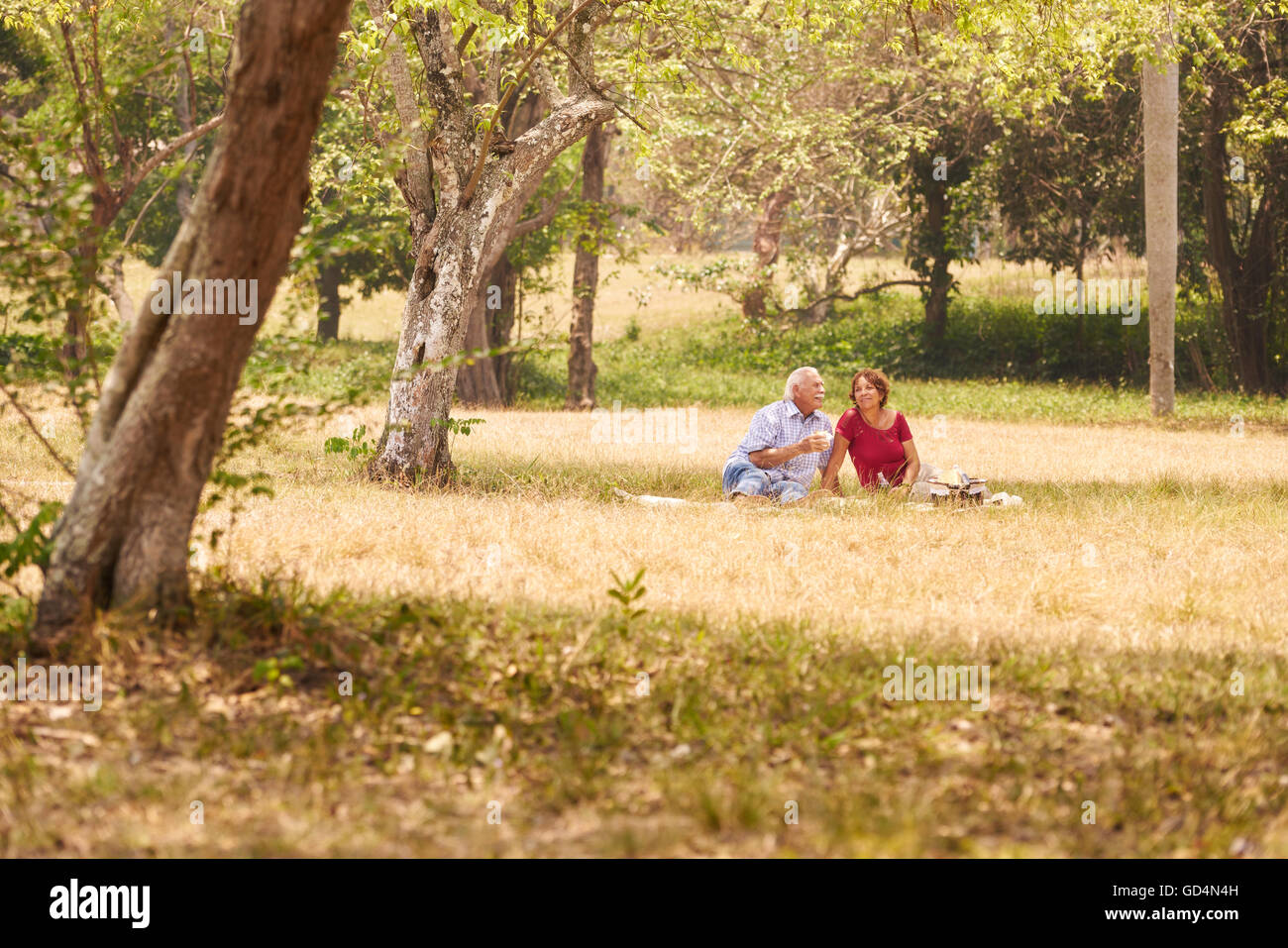 Alte Menschen, älteres Paar, älterer Mann und Frau im Park. Pensionierte Senioren Essen bei Picknick Stockfoto