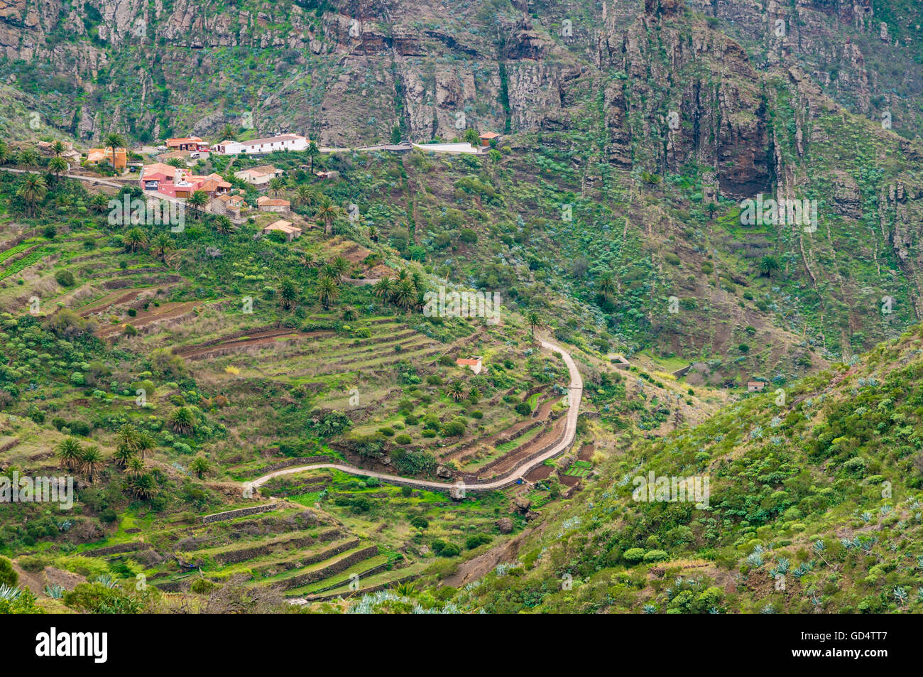 Abgeschiedenen Tal von Masca Blick vom Mirador De La Cruz de Hilda, Teneriffa, Kanarische Inseln, Spanien Stockfoto