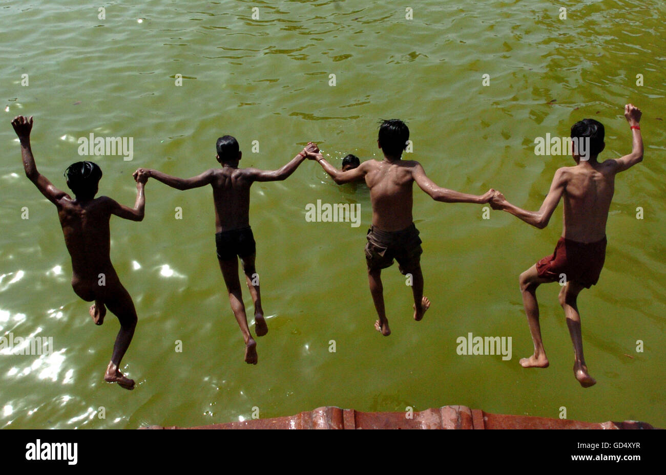 Tauchen im teich Stockfotos und bilder Kaufen Alamy