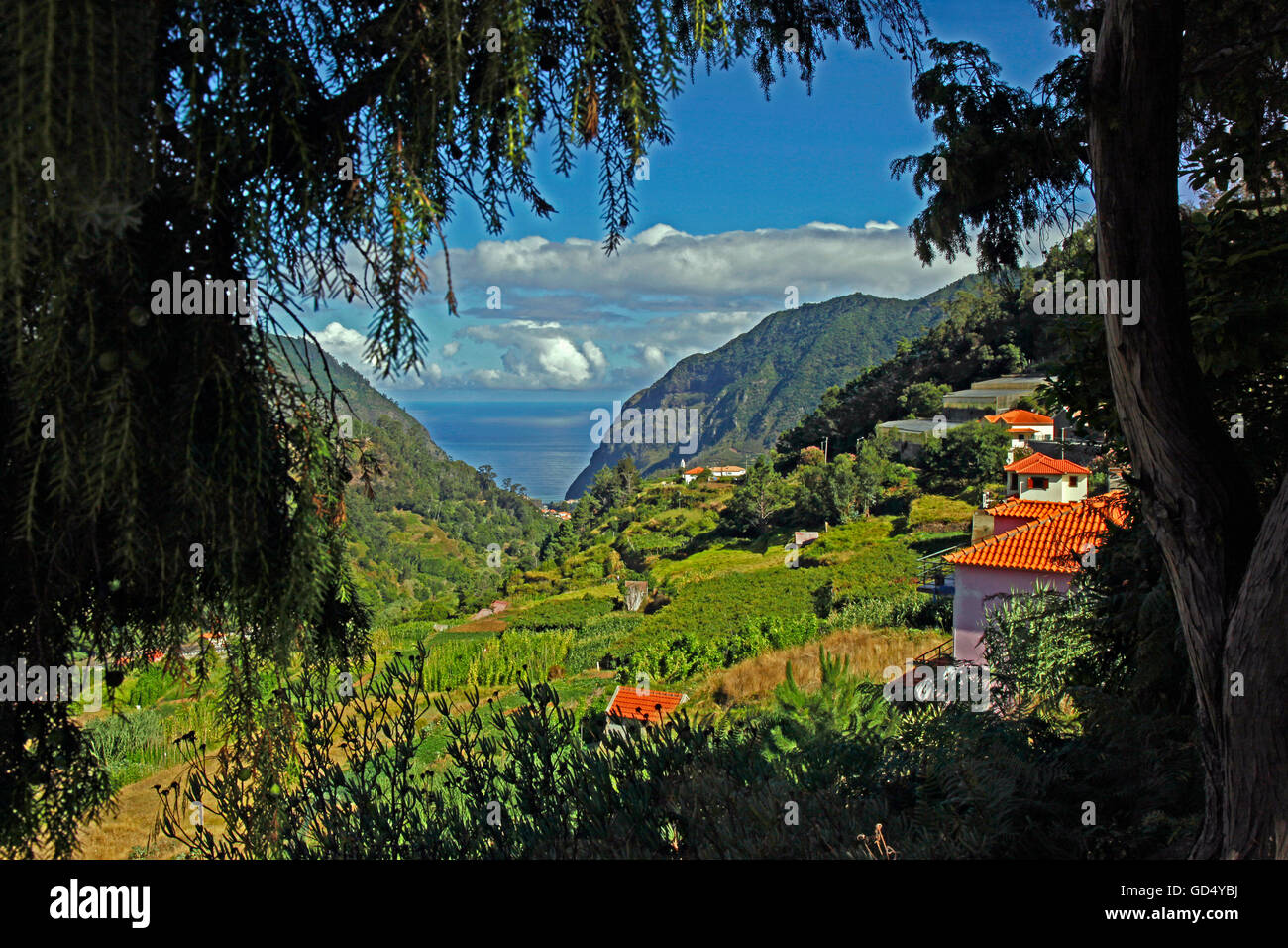 Sao Vicente, Insel Madeira, Portugal Stockfoto