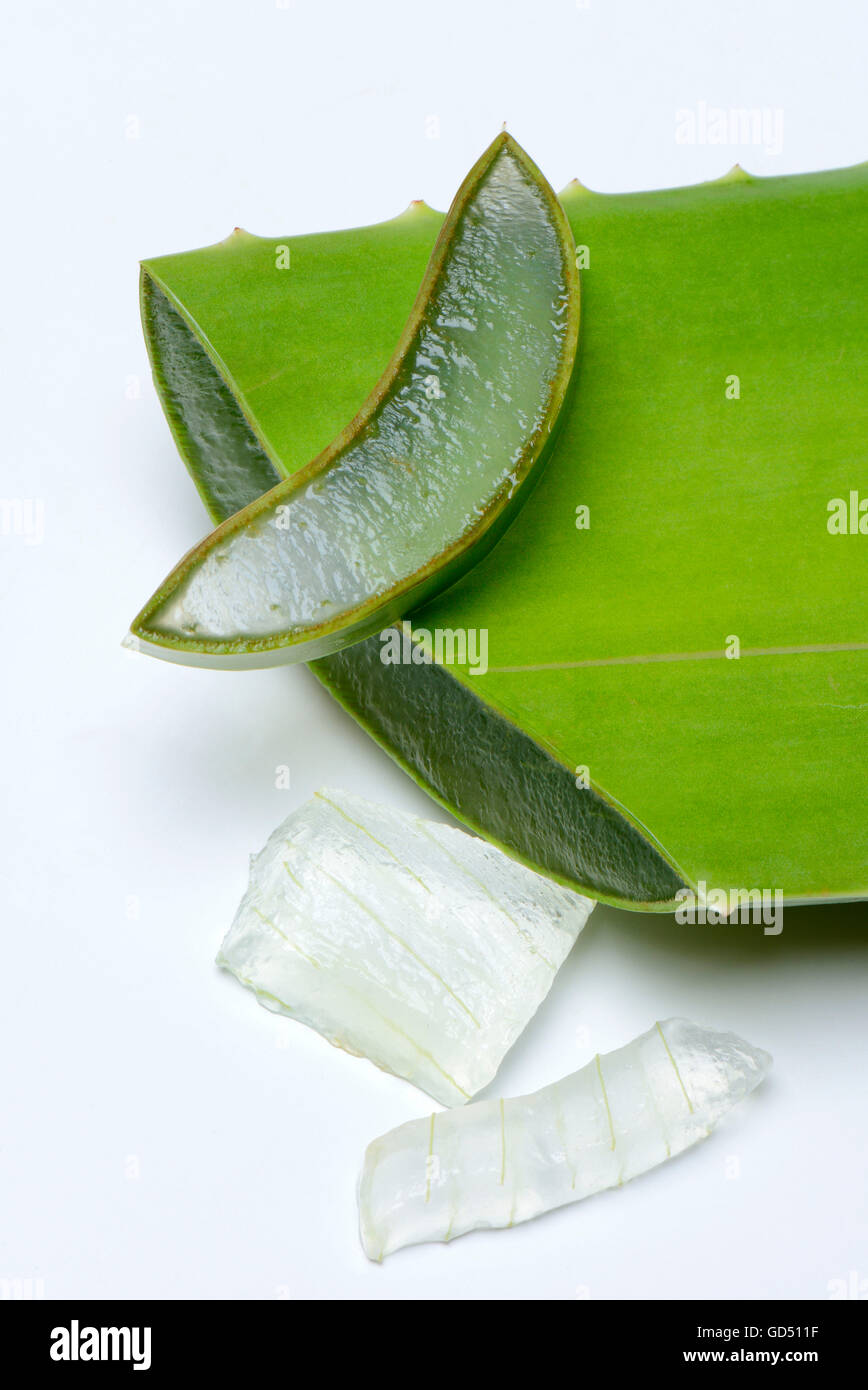 Blattscheiben der Aloe Vera Und Angeschnittenes Blatt, Backmischung Aloe Blattgel, Gel Stockfoto