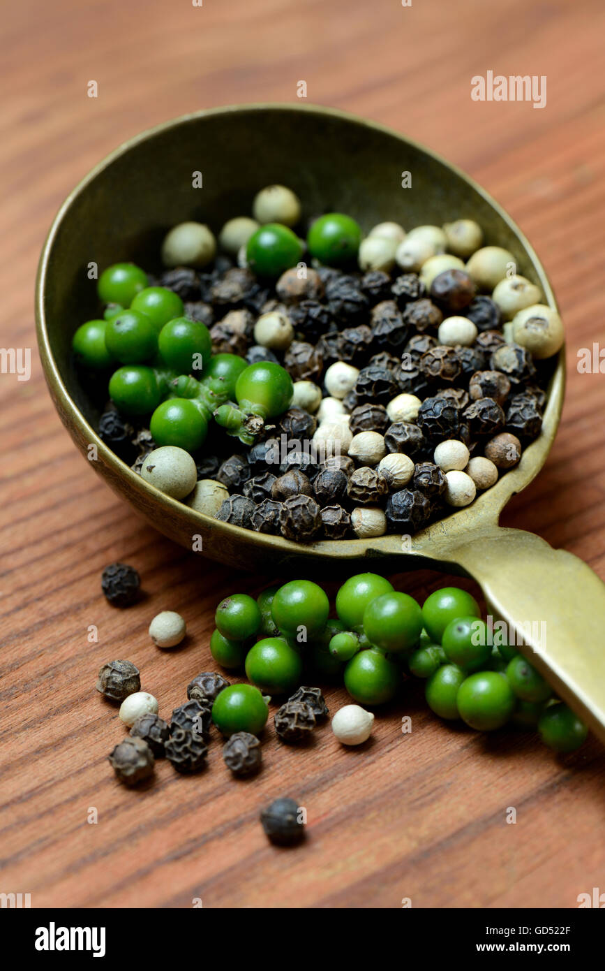 Grün, schwarzer und weißer Pfeffer, Paprika, Mais, Pfefferkörner Stockfoto