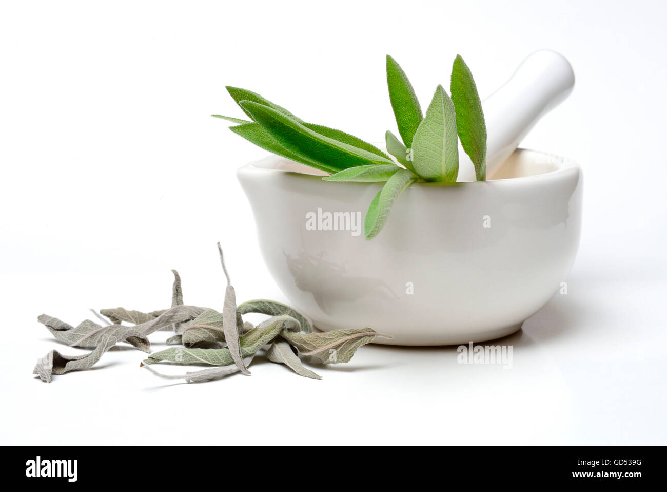 Gemeinsame, Salbei, getrockneten und frischen, Mörtel / (Salvia Officinalis) Stockfoto