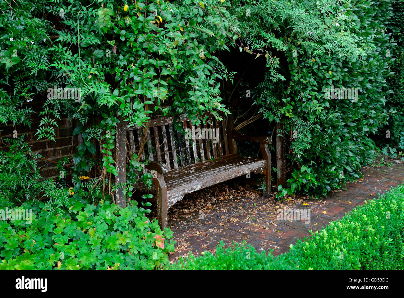 Alte Gartenbank, Clinton Lodge Gardens, Bognerei, East Sussex, England Stockfoto