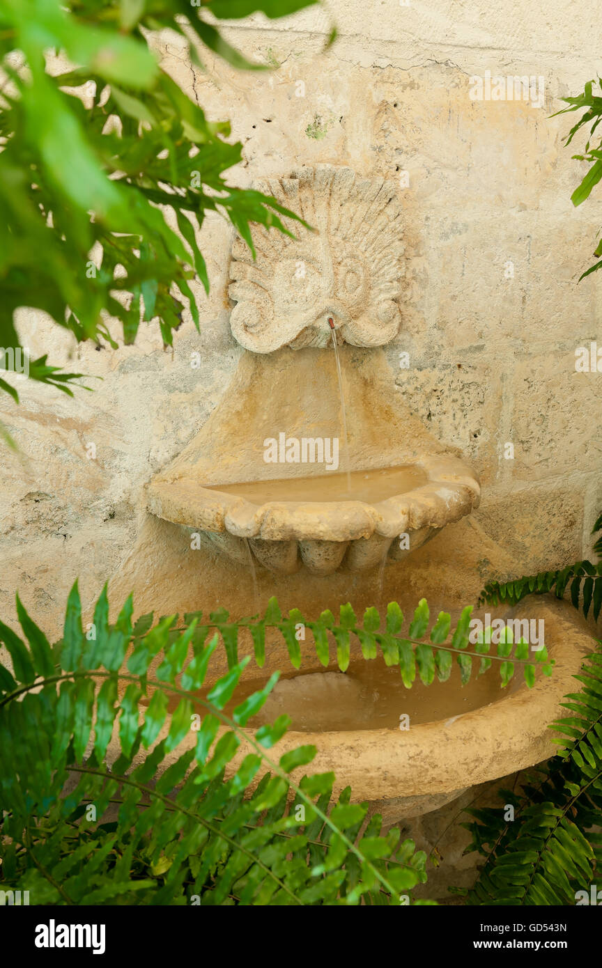 Wasserspiel und Farne in Leamington Haus Villa Garten, Barbados Stockfoto