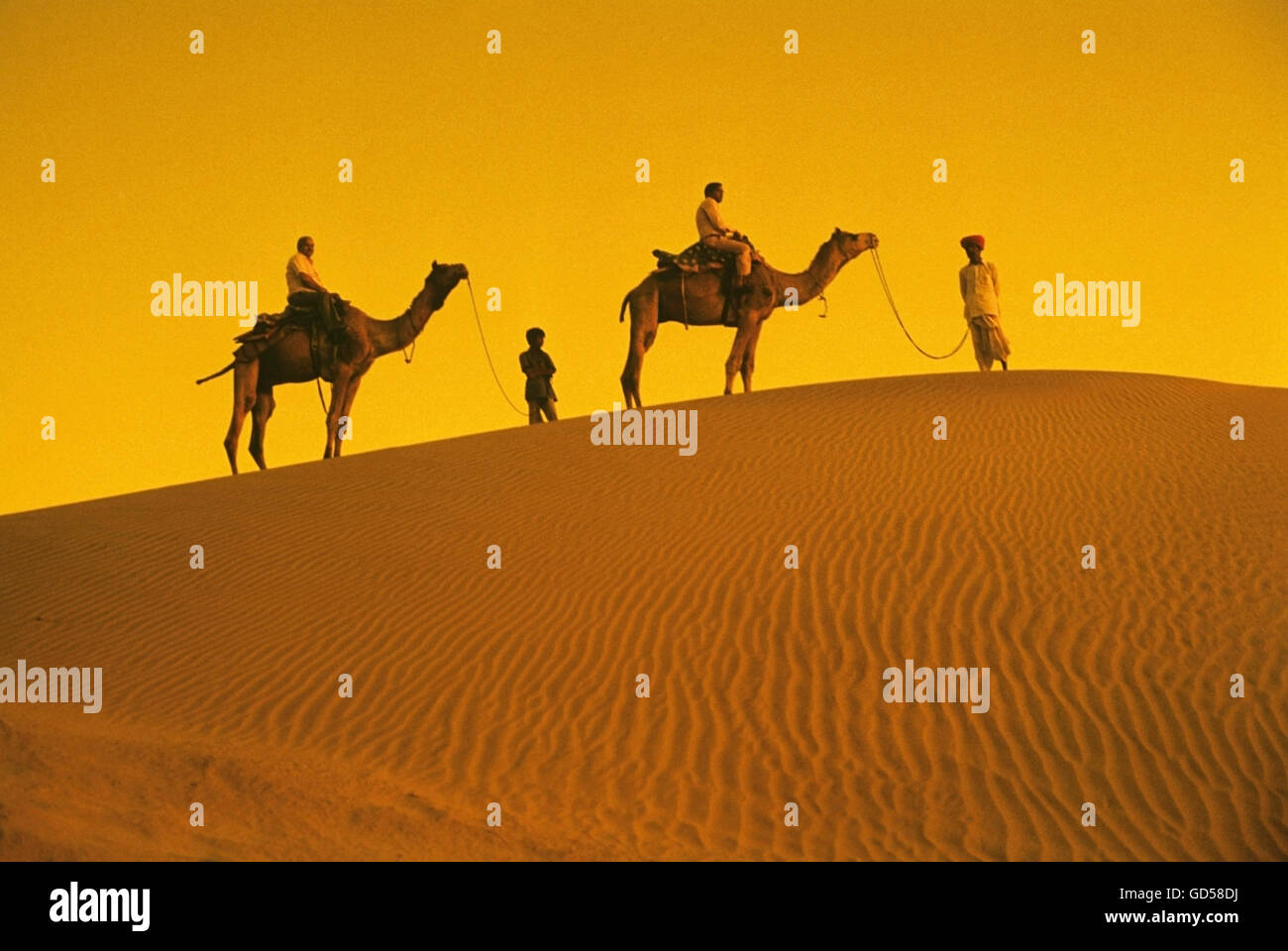 Touristen, die auf Kamelen reiten Stockfoto